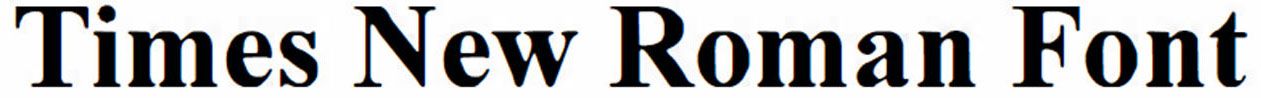 Times New Roman